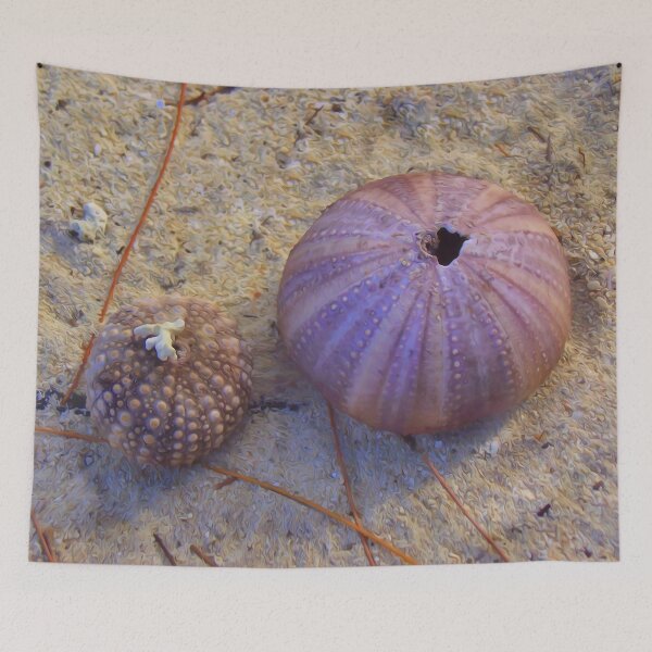 Item preview, Sea Urchin Shells On The Beach designed and sold by Artisnaps.