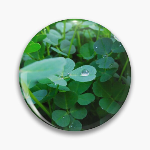 Item preview, Clover Patch and Dewdrops designed and sold by ashtreephotos.