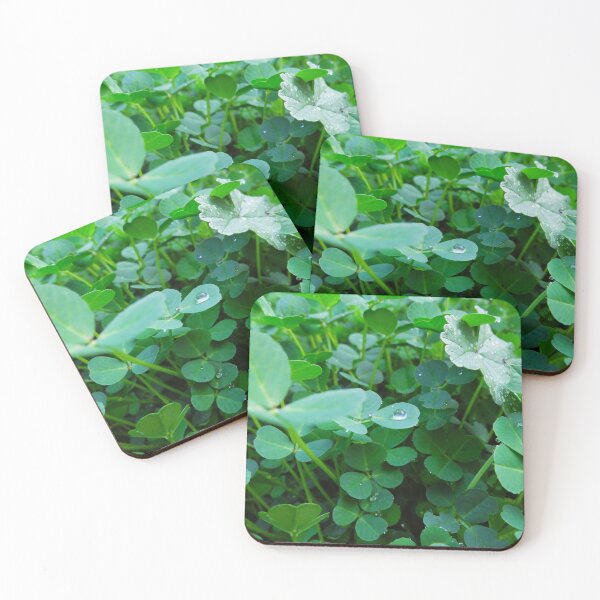 Item preview, Clover Patch and Dewdrops designed and sold by ashtreephotos.