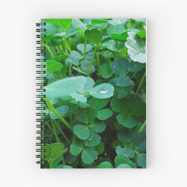 Item preview, Clover Patch and Dewdrops designed and sold by ashtreephotos.