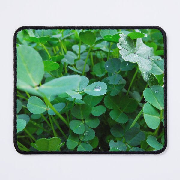 Item preview, Clover Patch and Dewdrops designed and sold by ashtreephotos.