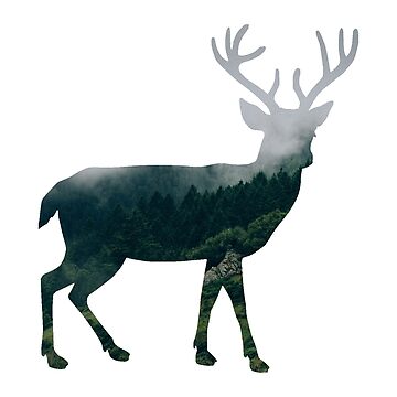 Artwork thumbnail, Buck Deer with Misty Evergreen Forest Woods Silhouette - Spirit of the Wild . by VisionQuestArts
