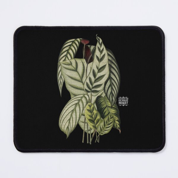 Item preview, Maranta and Calathea Plants | Colorful Artwork | White Lettering | designed and sold by VintagePlantJoy.