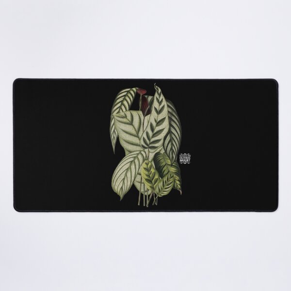 Item preview, Maranta and Calathea Plants | Colorful Artwork | White Lettering | designed and sold by VintagePlantJoy.
