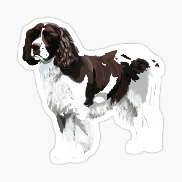 English Springer Spaniel Art Sticker