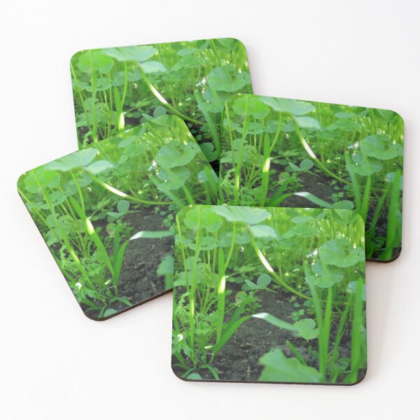 Item preview, Deeper into the Forest of Clovers designed and sold by ashtreephotos.
