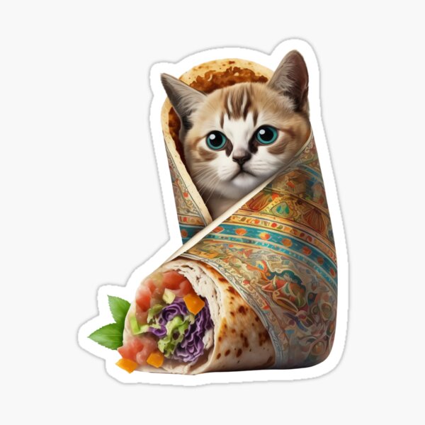 Chimichanga Gifts & Merchandise For Sale | Redbubble