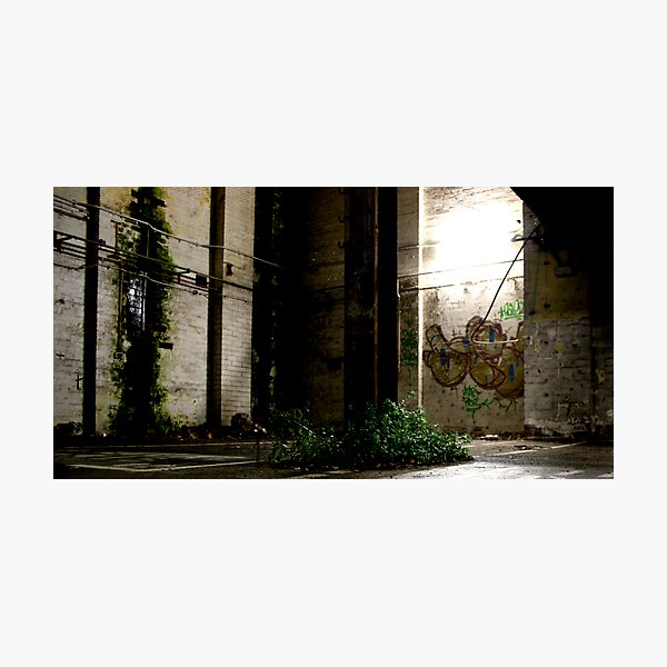 Steal Trunk Photographic Print