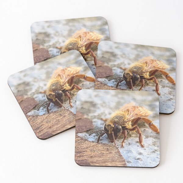 Item preview, Bee resting by a samara seed on the deck designed and sold by imagery-by-jen.