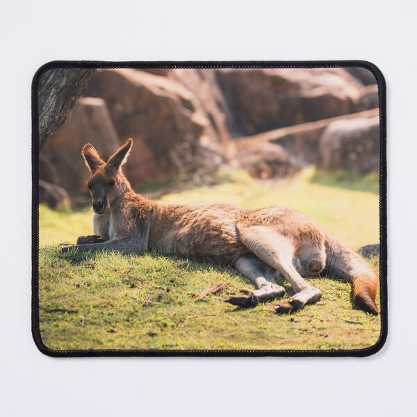 Item preview, Lazy Arvo designed and sold by mjscreative.