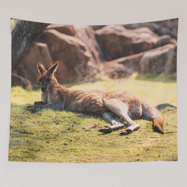 Item preview, Lazy Arvo designed and sold by mjscreative.