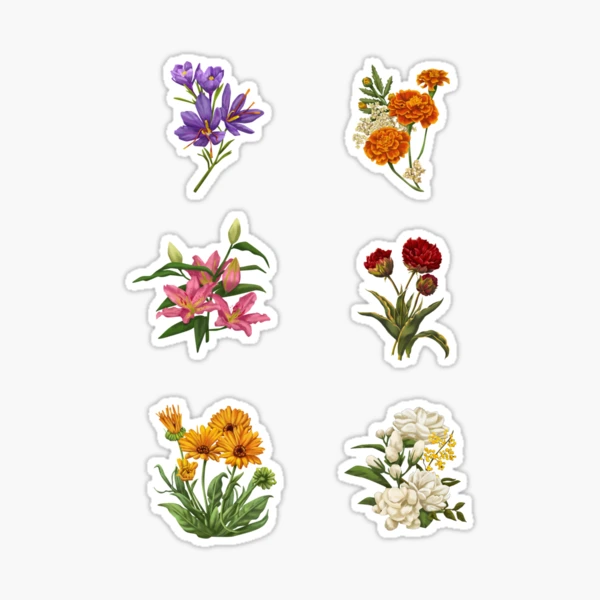 flower garden  Sticker for Sale by jordansaufley