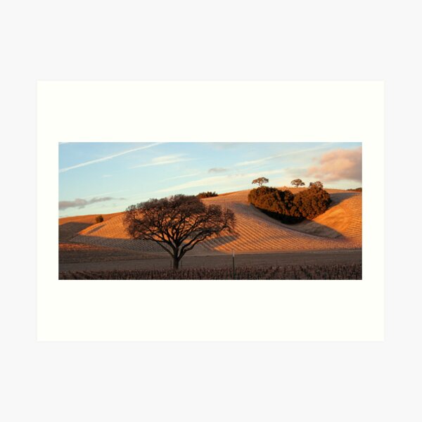 Heart Hill Art Print