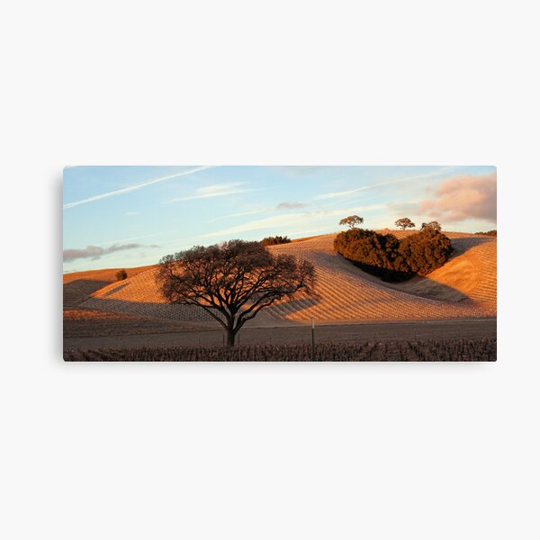 Heart Hill Canvas Print