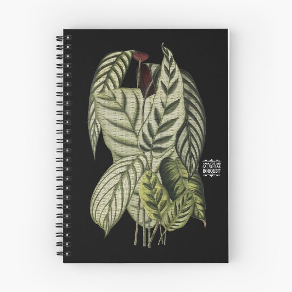 Item preview, Maranta and Calathea Plants | Colorful Artwork | White Lettering | designed and sold by VintagePlantJoy.