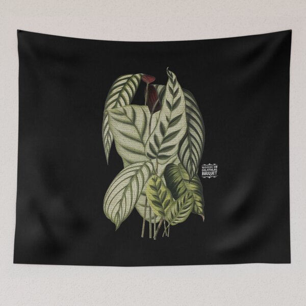 Item preview, Maranta and Calathea Plants | Colorful Artwork | White Lettering | designed and sold by VintagePlantJoy.
