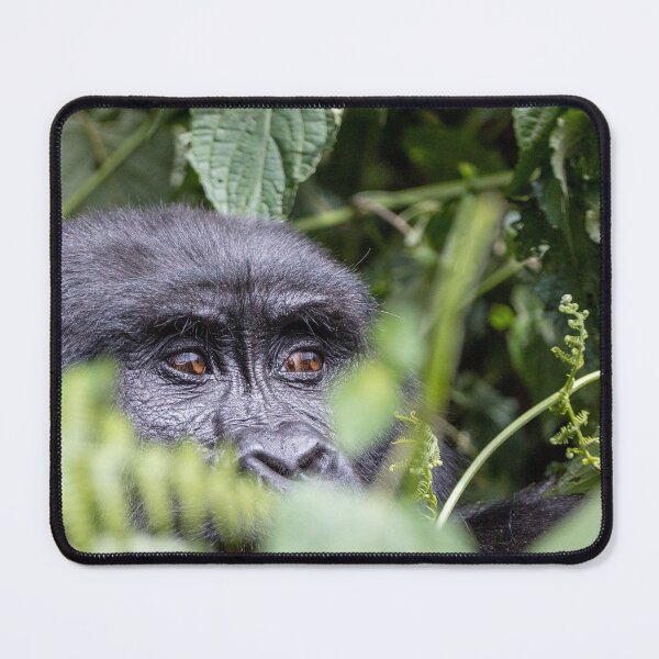 Item preview, monkey designed and sold by mottyshop.