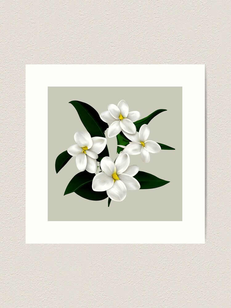 Drawing jasmine flower ornament Royalty Free Vector Image