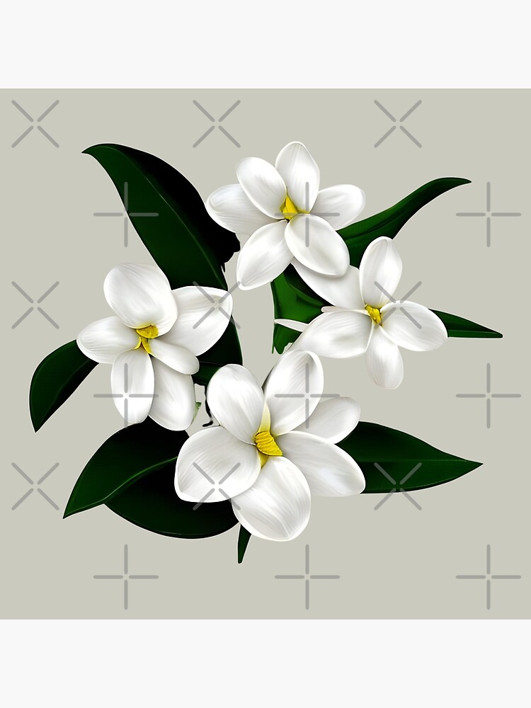 Black and white pencil drawing of a branch of jasmine flowers and leaves on  a white background in the style of peter brown on Craiyon