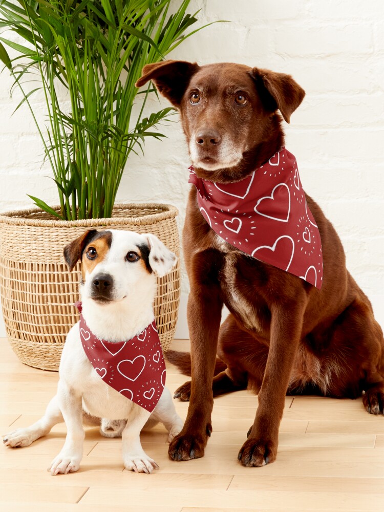 Dog Bandana, Red Heart Valentine