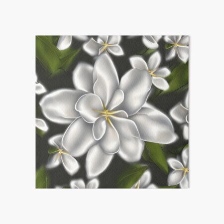 White Jasmine Flowers by Firina - Wrapped Canvas Photograph Ebern Designs Size: 48 H x 32 W x 1.25 D