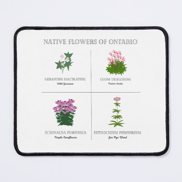 Item preview, Native Flowers of Ontario designed and sold by ebcameron.