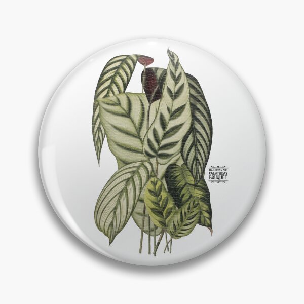 Item preview, Maranta and Calathea Plants | Colorful Artwork | Black Lettering | designed and sold by VintagePlantJoy.
