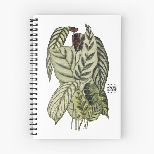 Item preview, Maranta and Calathea Plants | Colorful Artwork | Black Lettering | designed and sold by VintagePlantJoy.