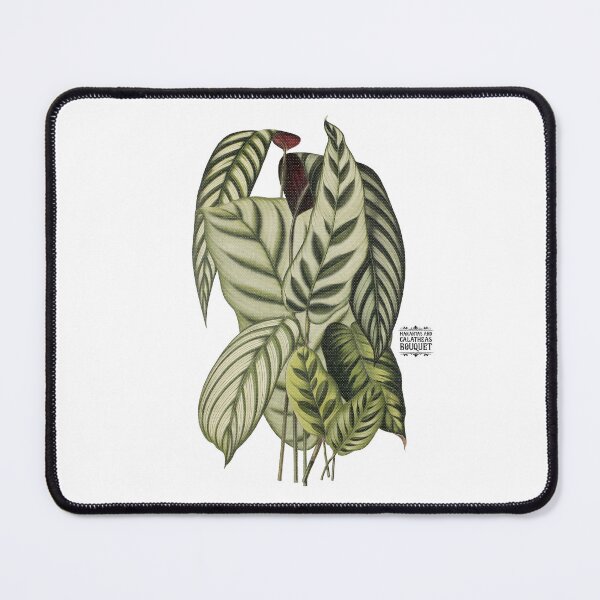 Item preview, Maranta and Calathea Plants | Colorful Artwork | Black Lettering | designed and sold by VintagePlantJoy.