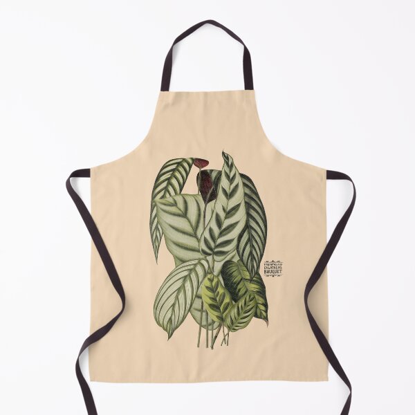 Item preview, Maranta and Calathea Plants | Colorful Artwork | Black Lettering | designed and sold by VintagePlantJoy.