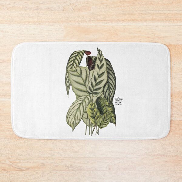 Item preview, Maranta and Calathea Plants | Colorful Artwork | Black Lettering | designed and sold by VintagePlantJoy.