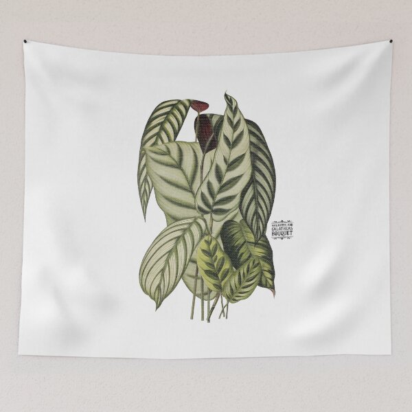 Item preview, Maranta and Calathea Plants | Colorful Artwork | Black Lettering | designed and sold by VintagePlantJoy.