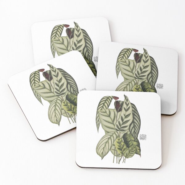 Item preview, Maranta and Calathea Plants | Colorful Artwork | Black Lettering | designed and sold by VintagePlantJoy.