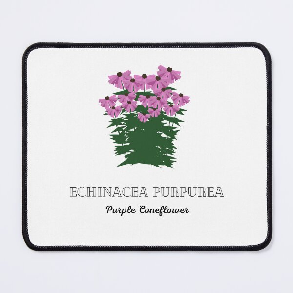 Item preview, Purple Coneflower - Echinacea Purpurea designed and sold by ebcameron.