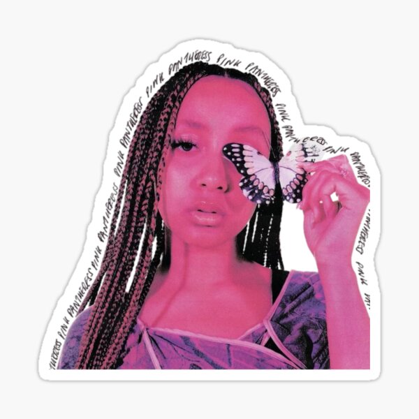 Pinkpantheress Album Cover Stickers for Sale