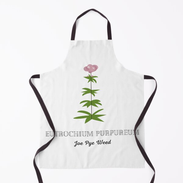 Item preview, Joe Pye Weed - Ontario Native Plants designed and sold by ebcameron.