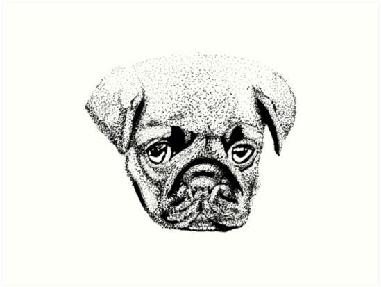 Stipple Pointillism Pug Dog Art Print By Hamdrawings Redbubble