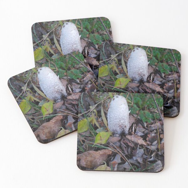 Item preview, Shaggy Mane designed and sold by etherealwonders.