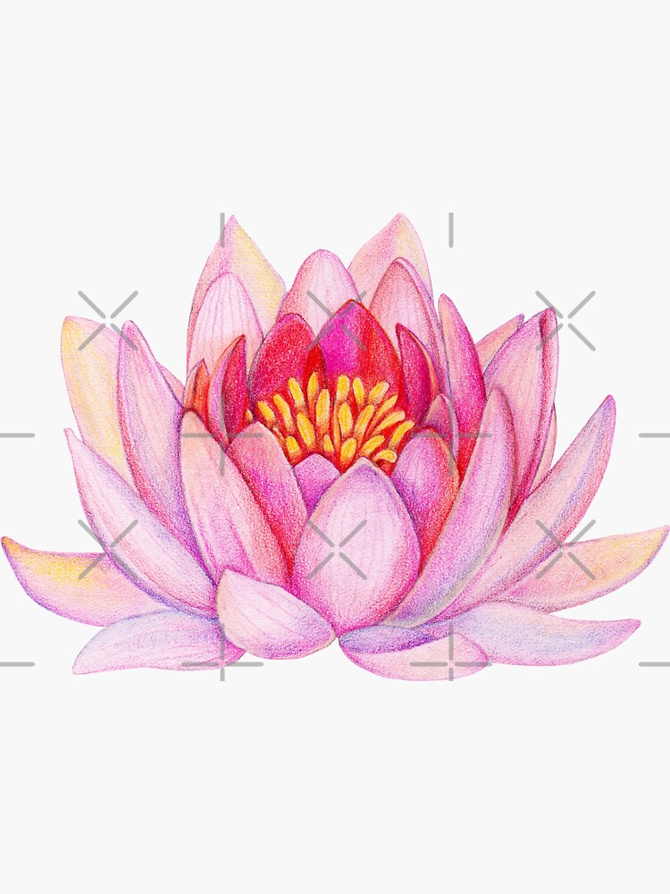 Pink lotus flower by alenazenart