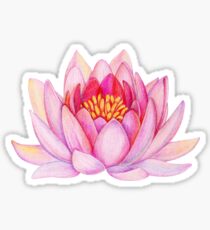 Pink lotus flower Sticker