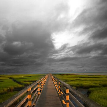 Artwork thumbnail, Golden Boardwalk by rshankar8080