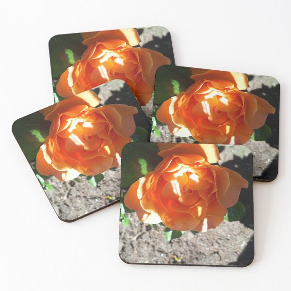 Item preview, Orange rose designed and sold by CsillaRosales.