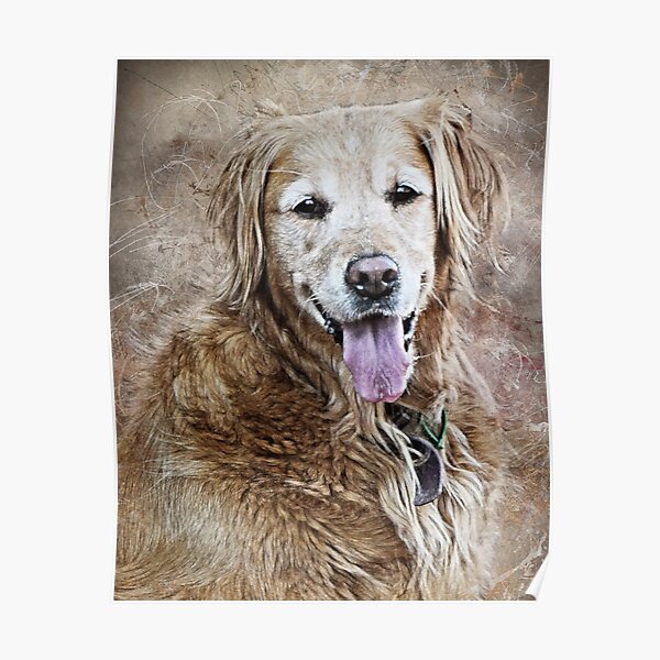 Golden Friend Poster