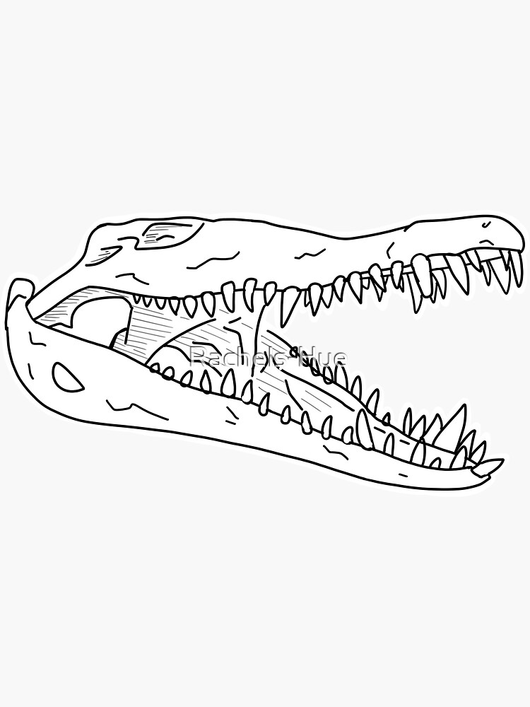 How to draw a Nile Crocodile | Step by step Drawing tutorials