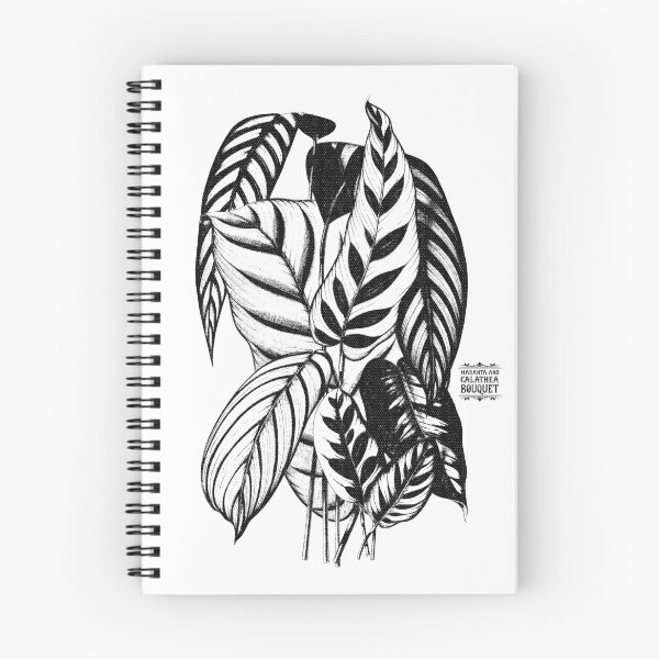 Item preview, Maranta and Calathea Plants | Black Artwork |  designed and sold by VintagePlantJoy.