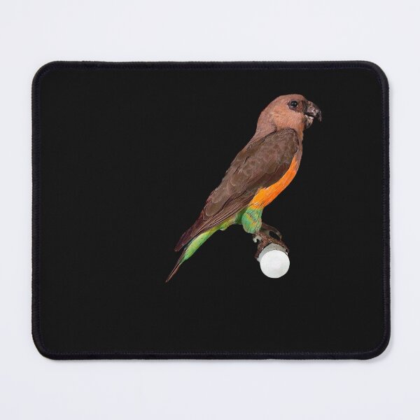 Item preview, Parrot designed and sold by M--Y.
