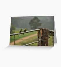Bee-eater Gatekeeper... Greeting Card