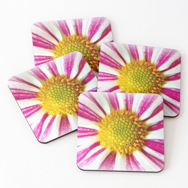 Item preview, Pink and white designed and sold by angel1.