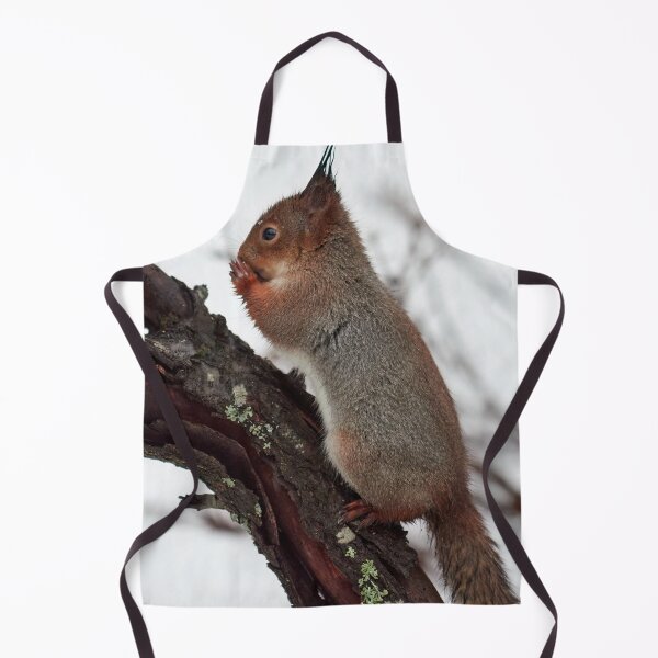 Item preview, Oh my Lord. Red squirrel designed and sold by Jouko Lehto Photography.