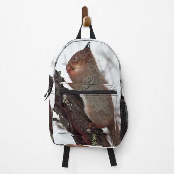 Item preview, Oh my Lord. Red squirrel designed and sold by Jouko Lehto Photography.